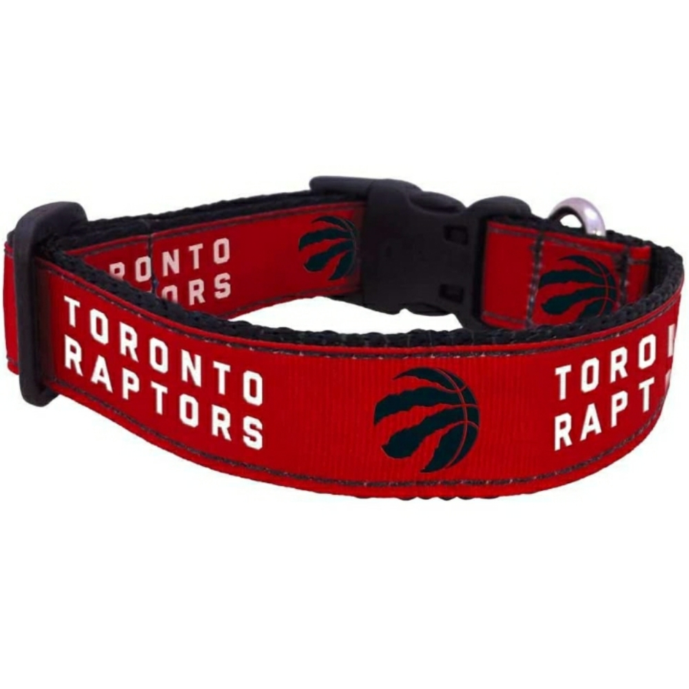 💥NEW LICENSED RAPTORS COLLAR